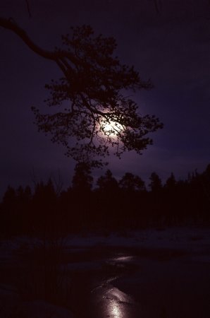 Moonlight during the last kilometre