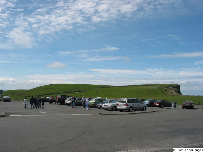 IMG_3231_s.jpg
