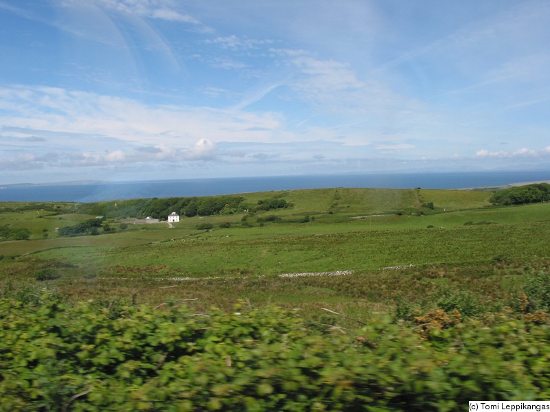 IMG_3246_s.jpg