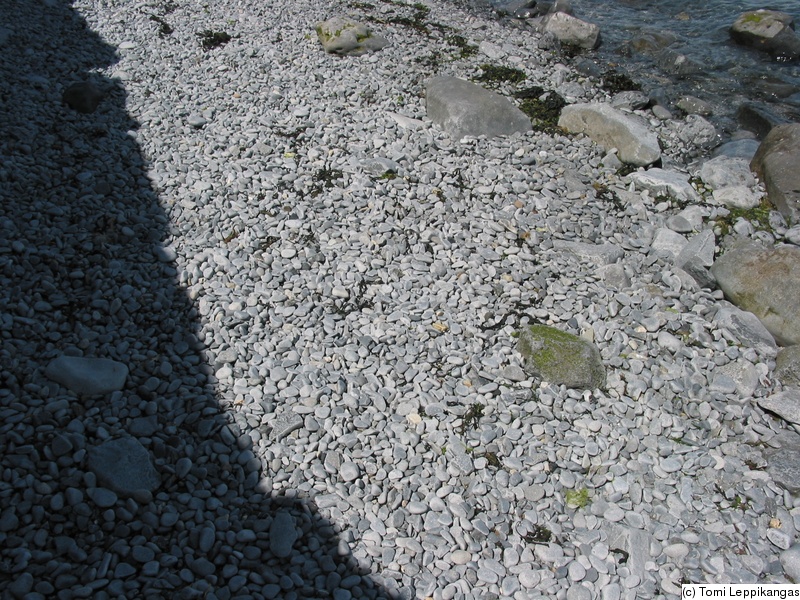 IMG_3298_s.jpg