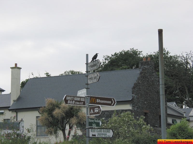 IMG_3332_s.jpg