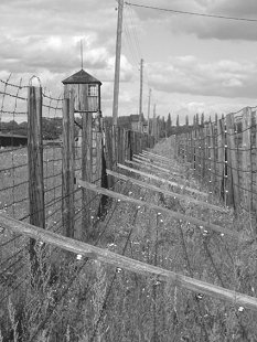 Majdanekin keskitysleiri